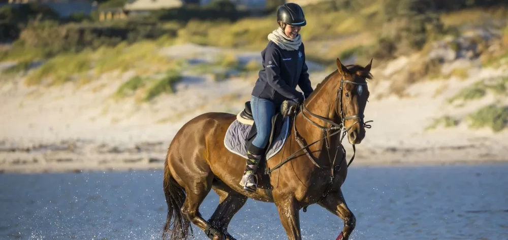 guide financier chevaux cavaliers suisse
