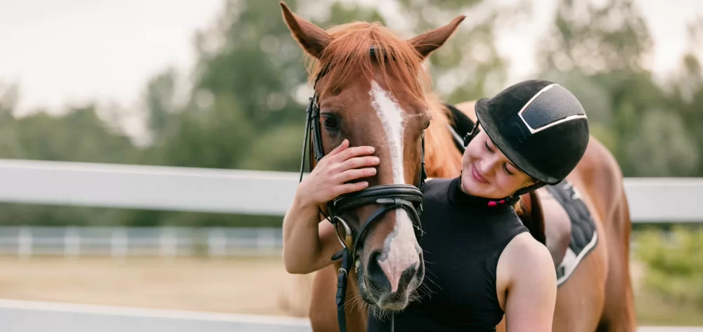 reiten pferde schweiz spartipps