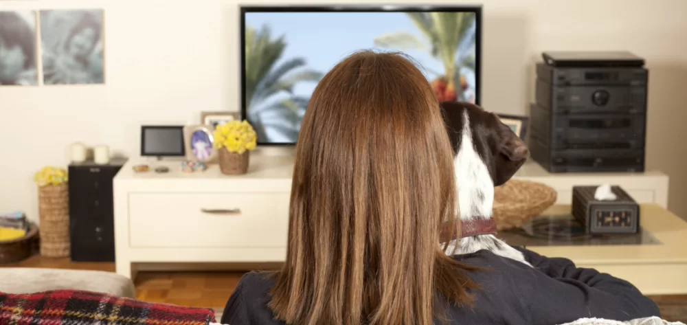 tv abo schweiz tipps